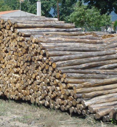 Η εταιρεία μας “ΥΠΕΡΤΕΧΝΙΚΗ” που βρίσκεται στη Βαρβάρα Χαλκιδικής είναι μία εταιρία που ασχολείται με τις ξύλινες κατασκευές και την ξυλεία εδώ και τέσσερις γενιές και προμηθεύει άμεσα όλη την Ελλάδα με ξυλεία καστανιάς...